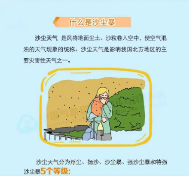 11.png
